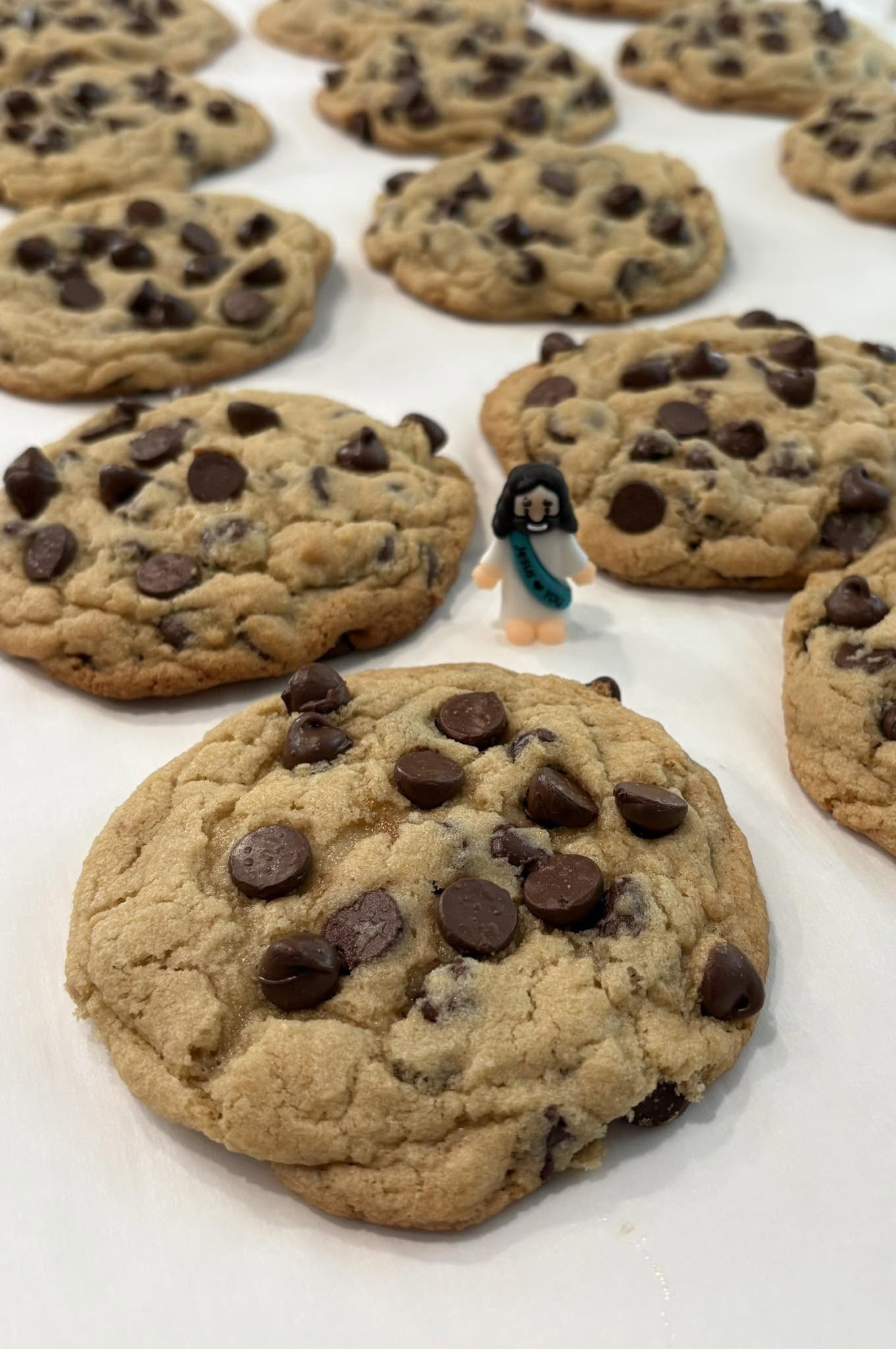 Rich cocoa fudge cookies